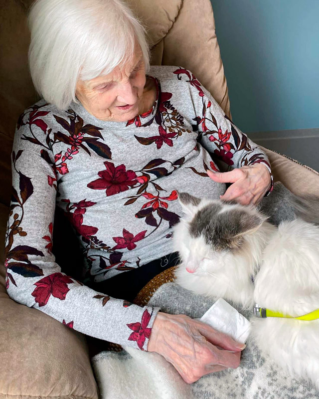 Trykk her for å se aktiviteten