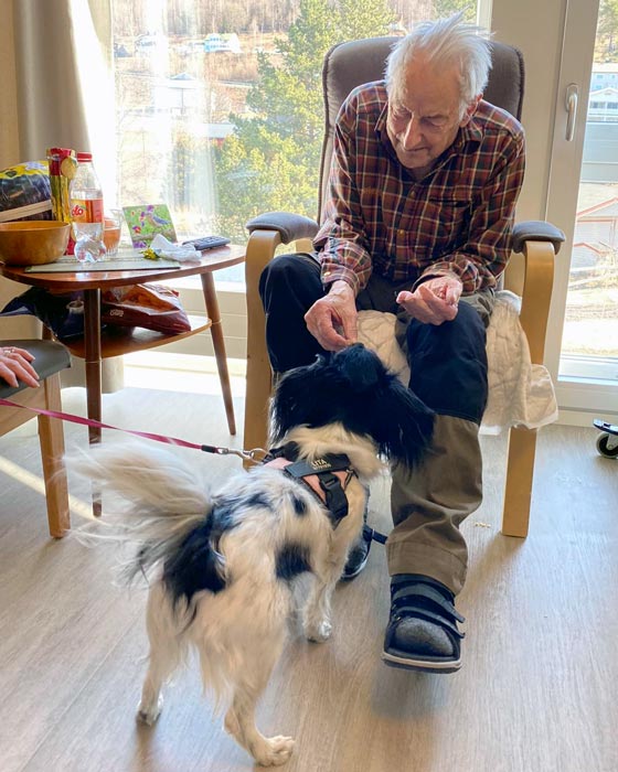 Trykk her for å se aktiviteten