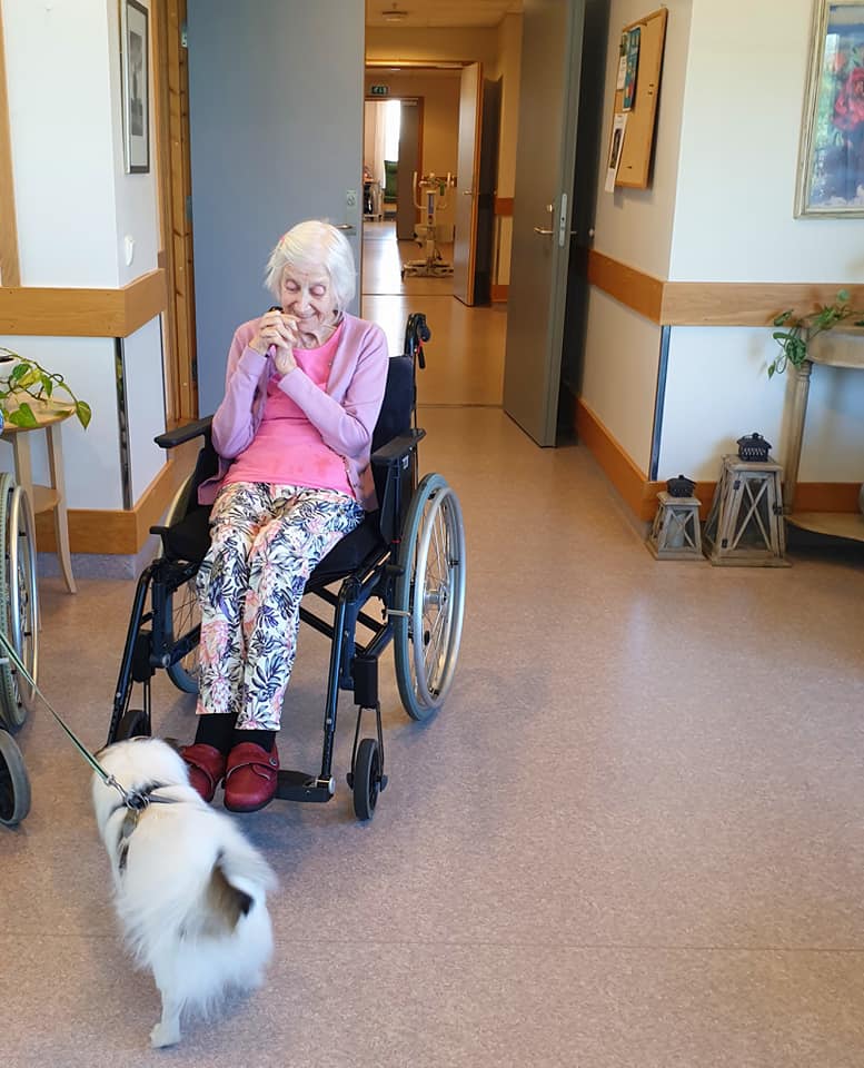 Trykk her for å se aktiviteten