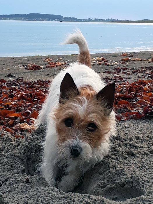 Trykk her for å se aktiviteten