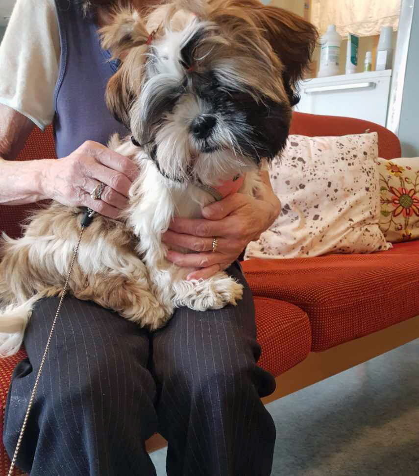 Trykk her for å se aktiviteten