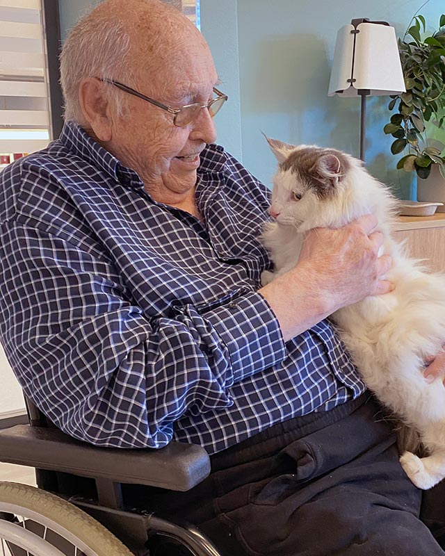 Trykk her for å se aktiviteten