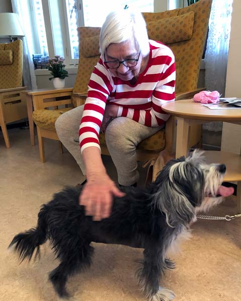 Trykk her for å se aktiviteten