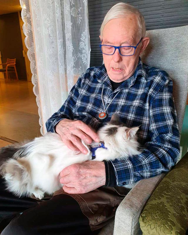 Trykk her for å se aktiviteten