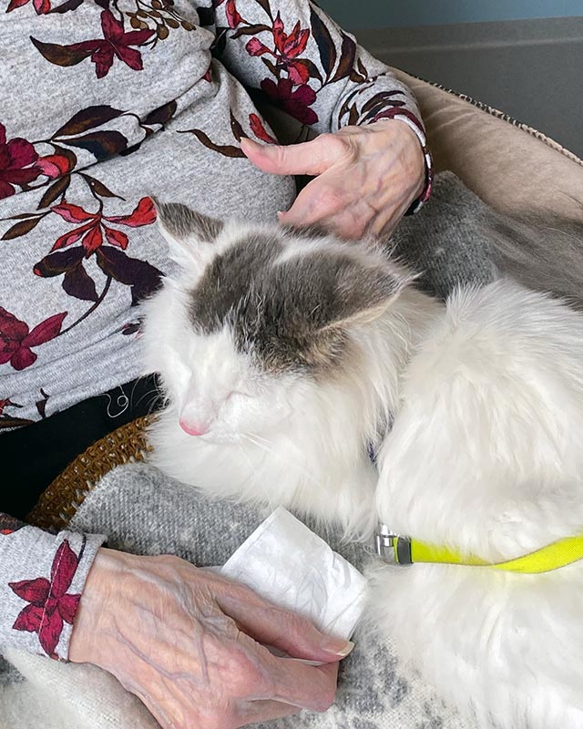 Trykk her for å se aktiviteten