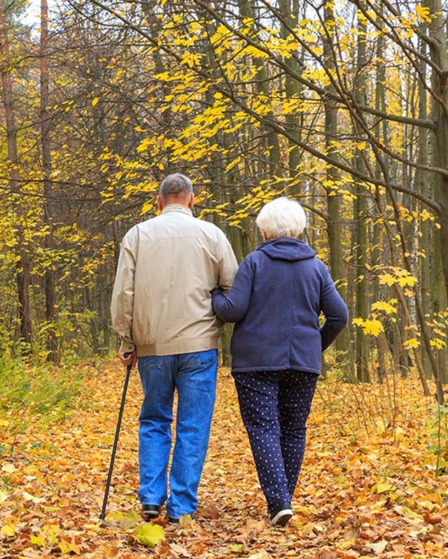 Trykk her for å se aktiviteten