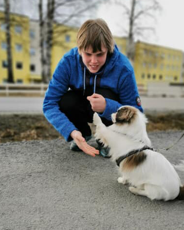 Trykk her for å se aktiviteten