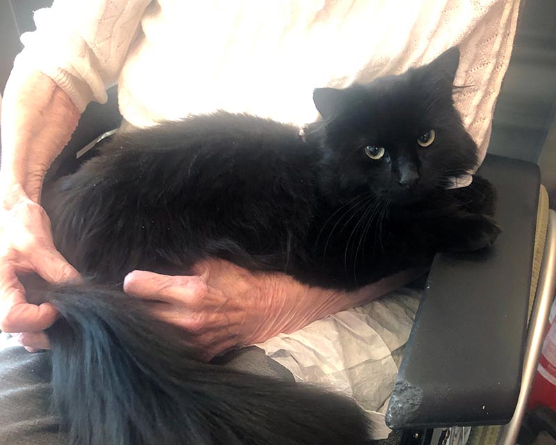 Trykk her for å se aktiviteten