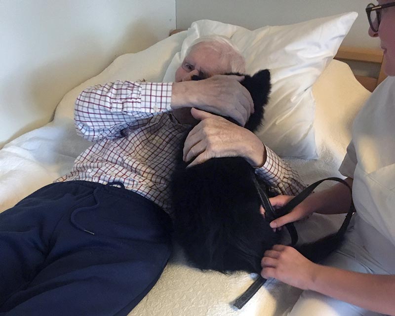 Trykk her for å se aktiviteten