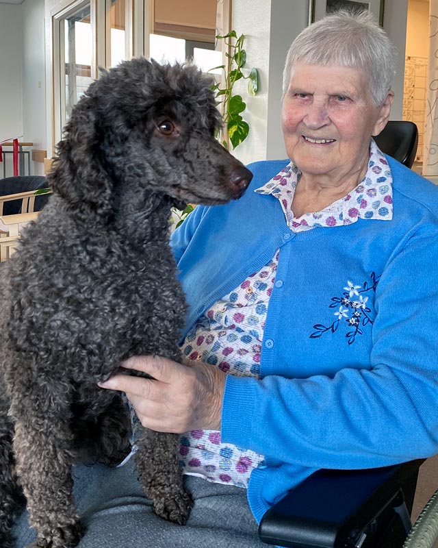 Trykk her for å se aktiviteten