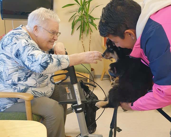 Trykk her for å se aktiviteten