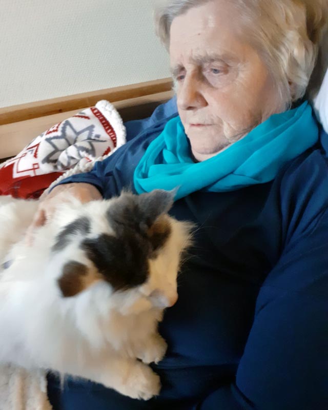 Trykk her for å se aktiviteten