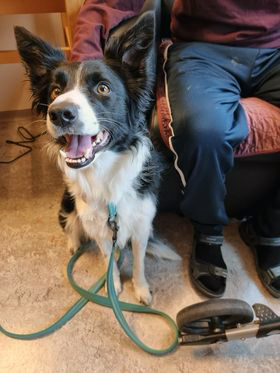 Trykk her for å se aktiviteten