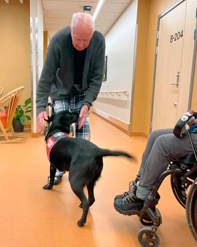 Trykk her for å se aktiviteten