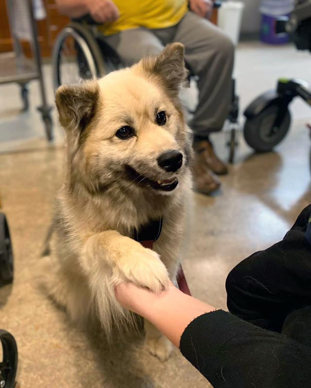 Trykk her for å se aktiviteten