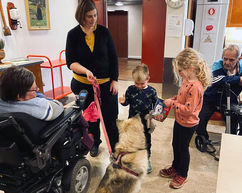 Trykk her for å se aktiviteten