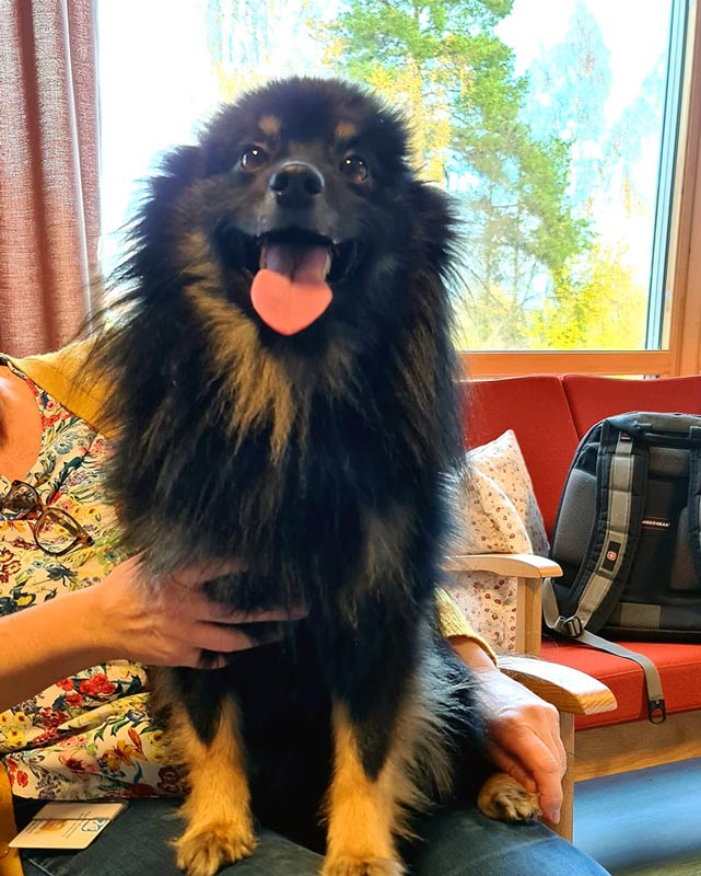 Trykk her for å se aktiviteten