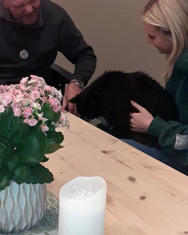 Trykk her for å se aktiviteten