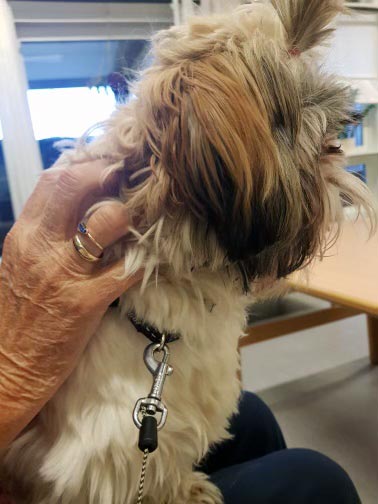 Trykk her for å se aktiviteten