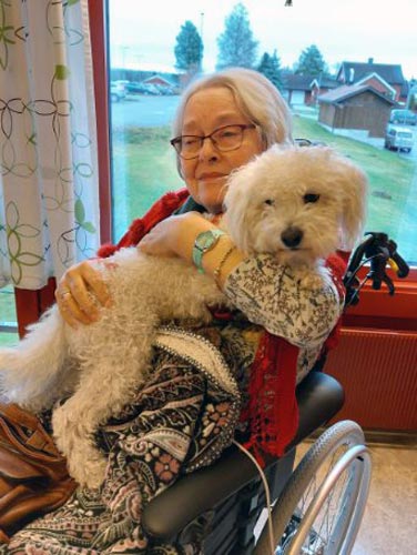 Trykk her for å se aktiviteten