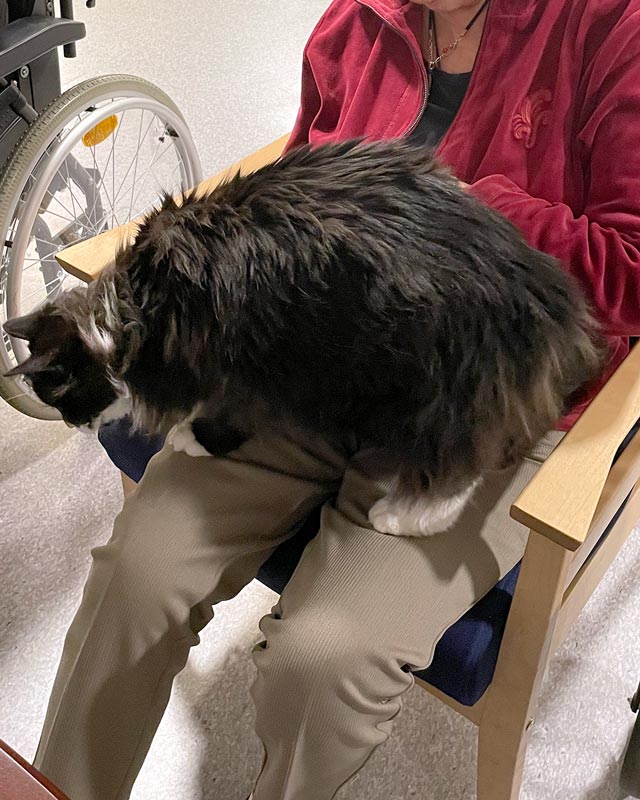 Trykk her for å se aktiviteten