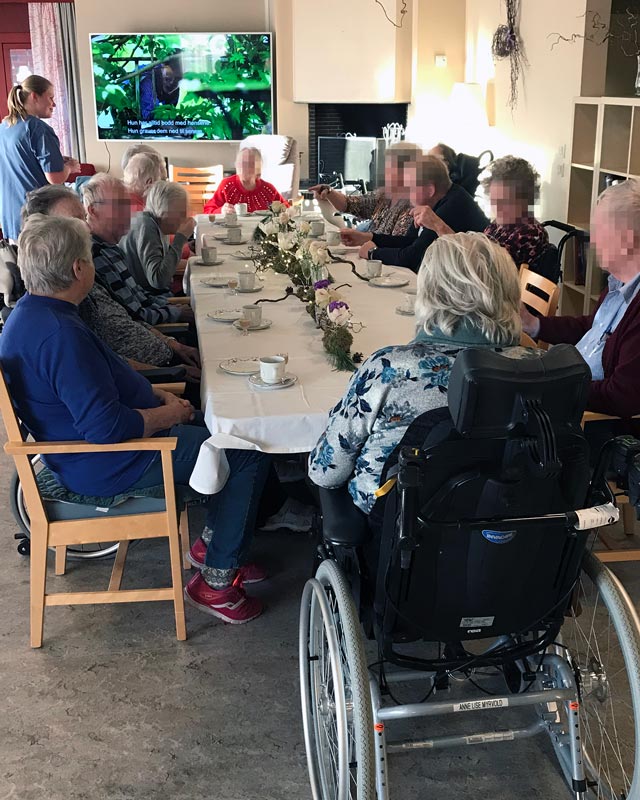 Trykk her for å se aktiviteten