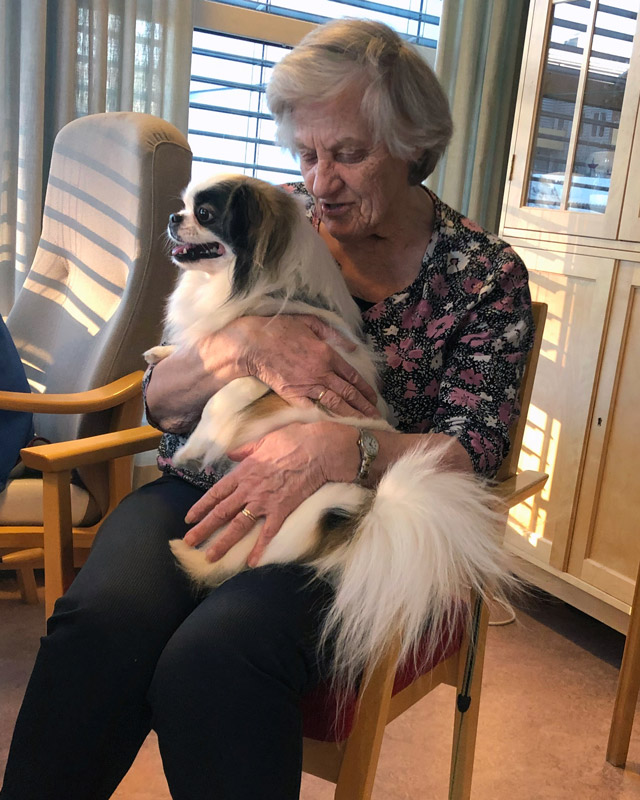 Trykk her for å se aktiviteten