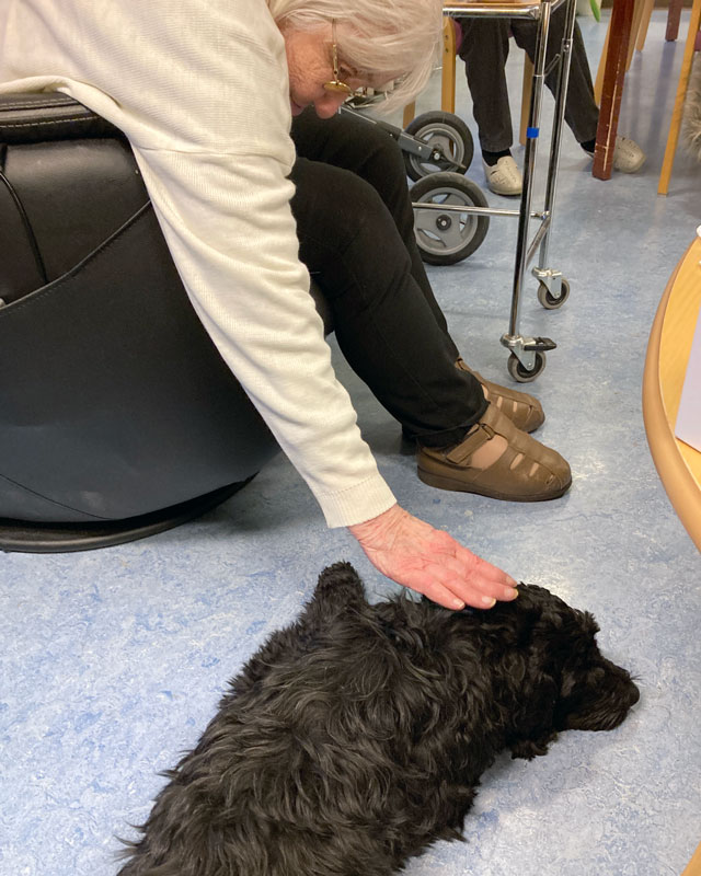 Trykk her for å se aktiviteten