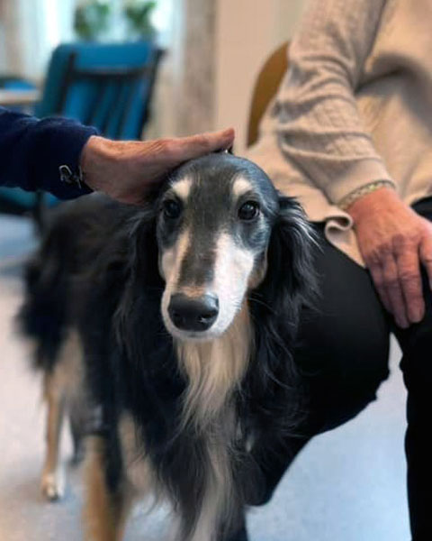 Trykk her for å se aktiviteten