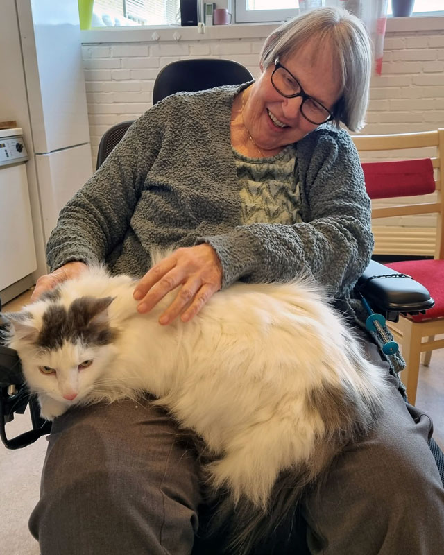 Trykk her for å se aktiviteten