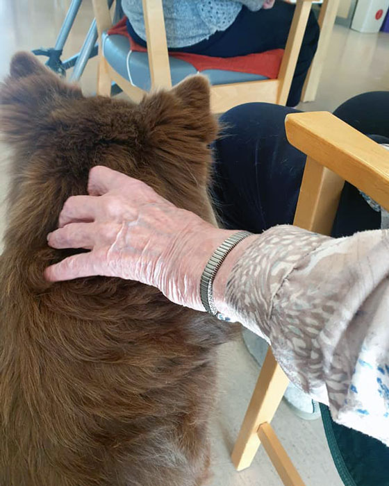 Trykk her for å se aktiviteten