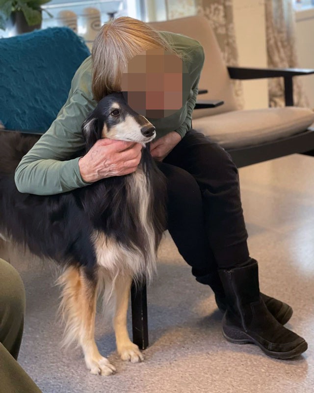 Trykk her for å se aktiviteten