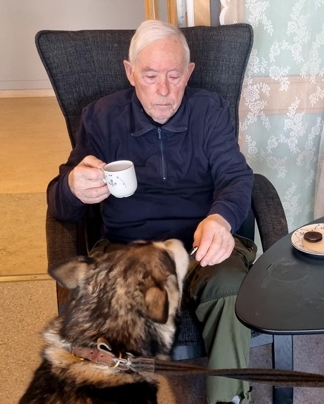 Trykk her for å se aktiviteten