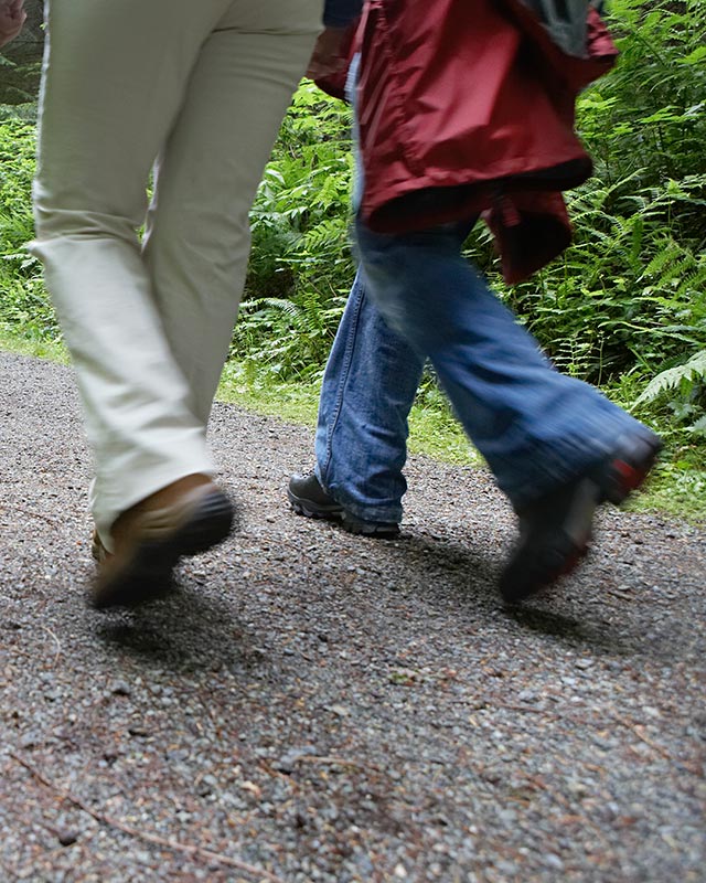 Trykk her for å se aktiviteten