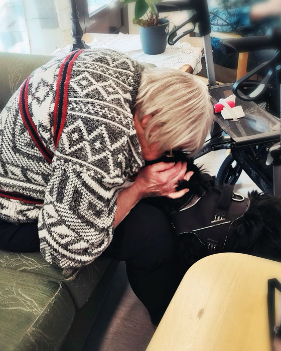 Trykk her for å se aktiviteten