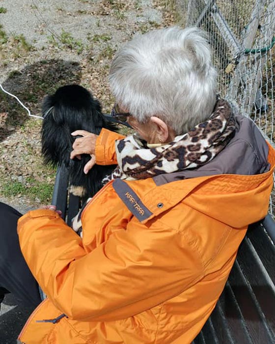 Trykk her for å se aktiviteten