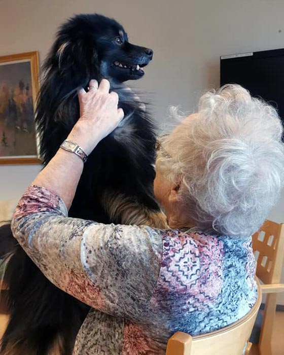 Trykk her for å se aktiviteten