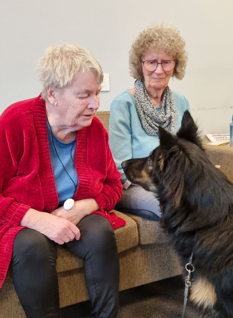 Trykk her for å se aktiviteten