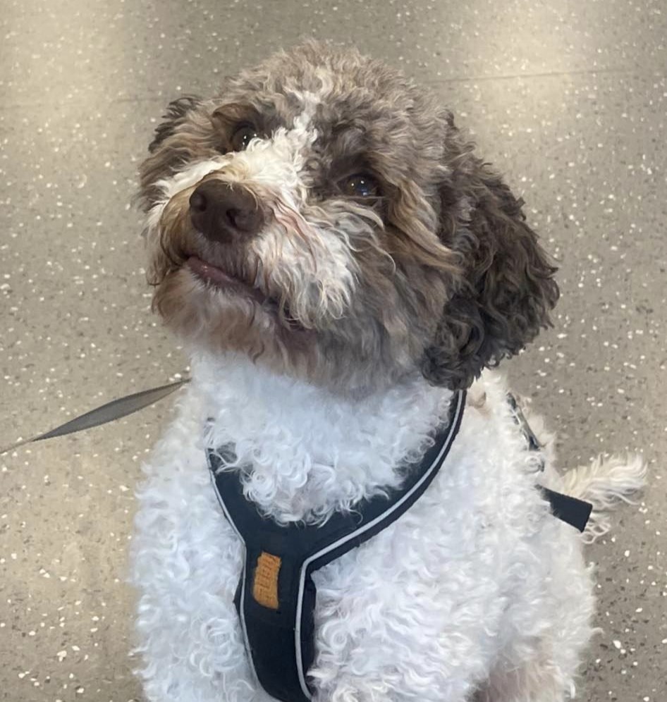 Trykk her for å se aktiviteten