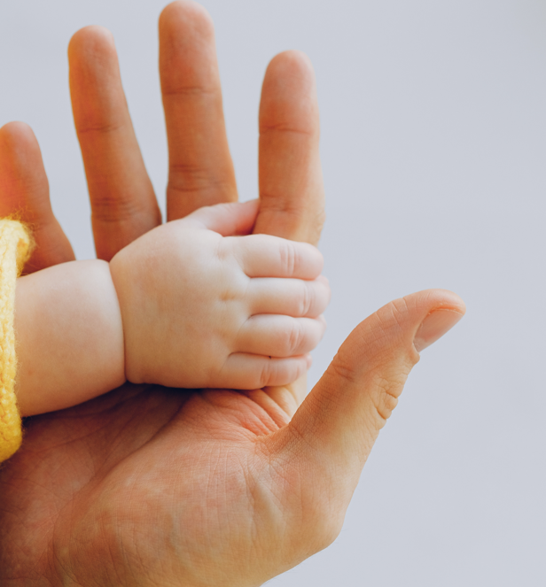 Trykk her for å se aktiviteten