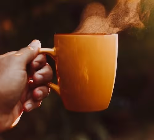 Trykk her for å se aktiviteten