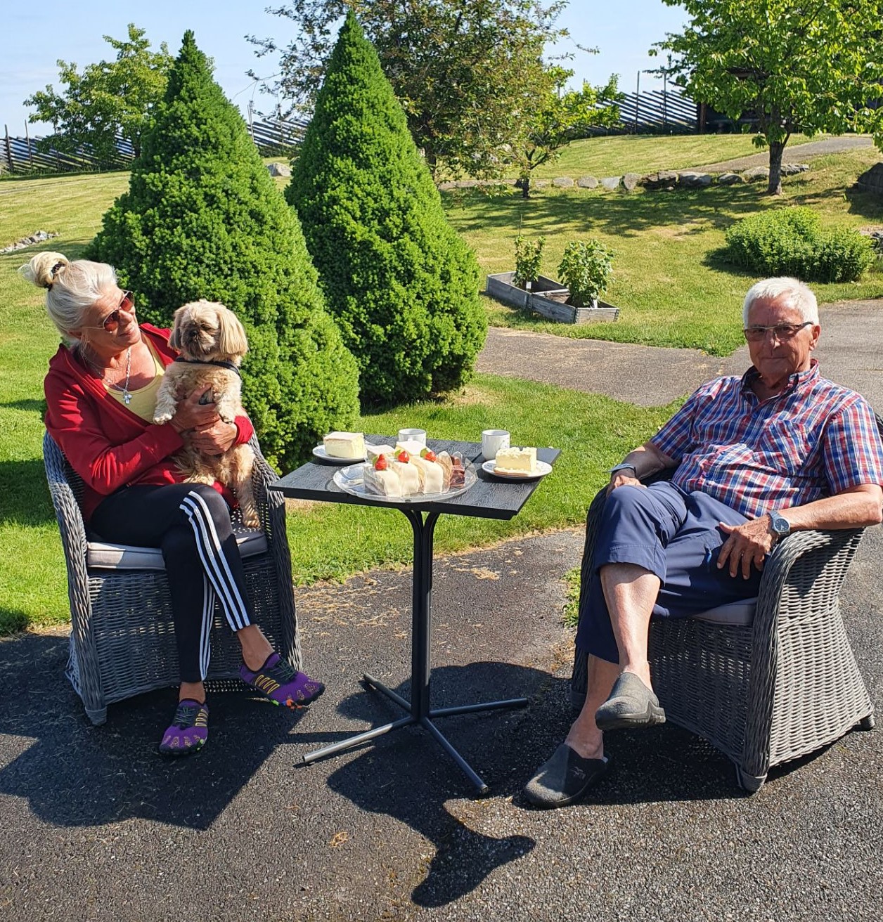 Trykk her for å se aktiviteten