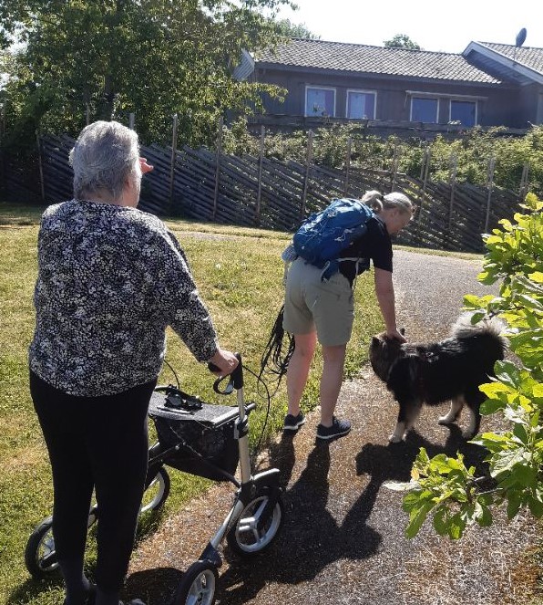 Trykk her for å se aktiviteten