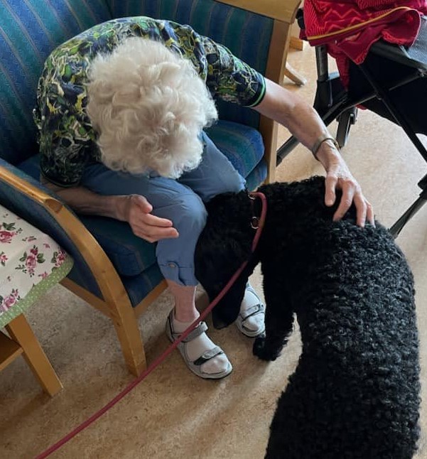 Trykk her for å se aktiviteten