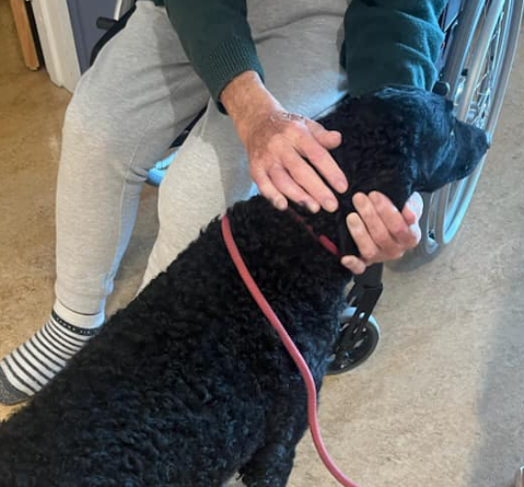 Trykk her for å se aktiviteten