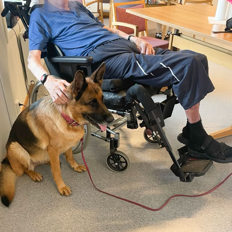 Trykk her for å se aktiviteten