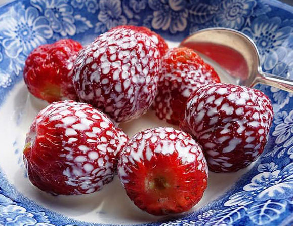 Trykk her for å se aktiviteten