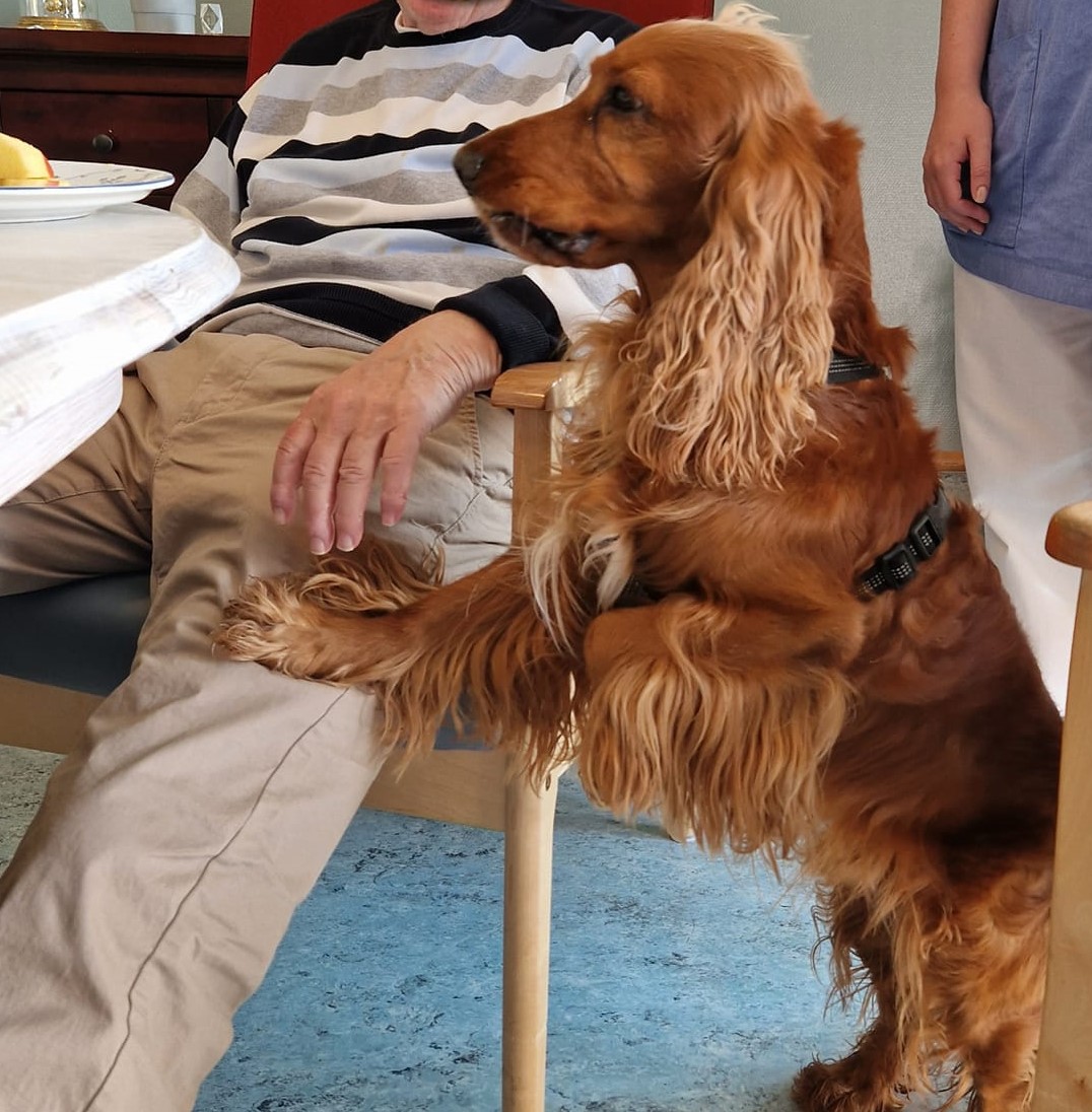 Trykk her for å se aktiviteten