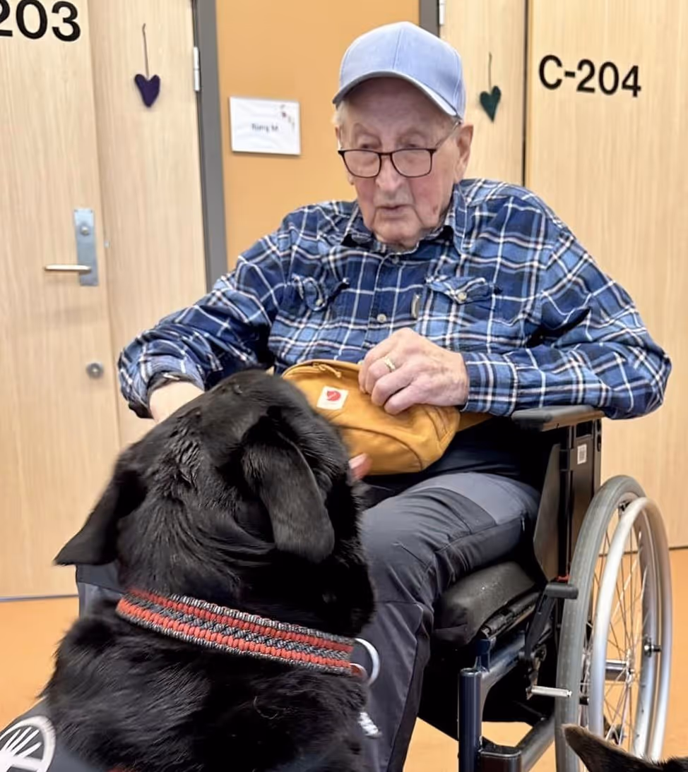 Trykk her for å se aktiviteten