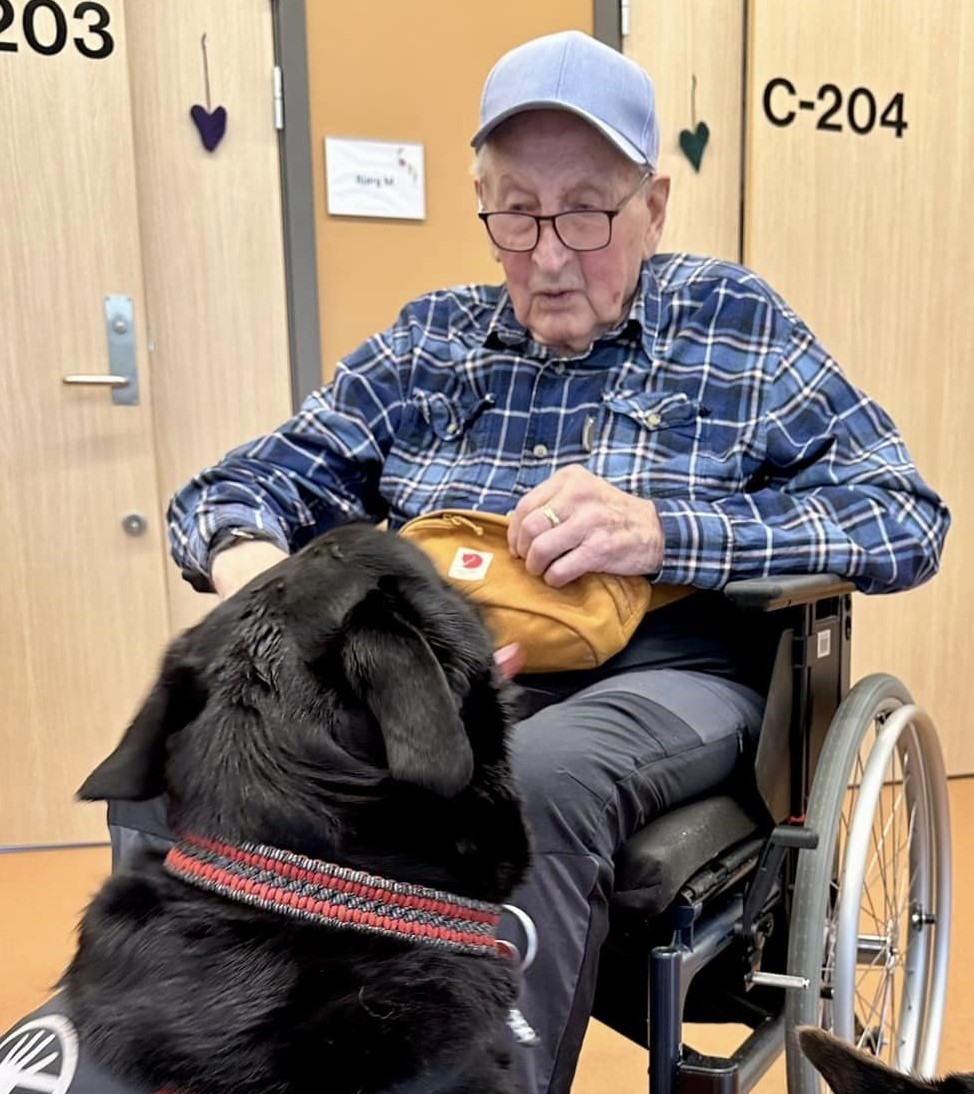 Trykk her for å se aktiviteten